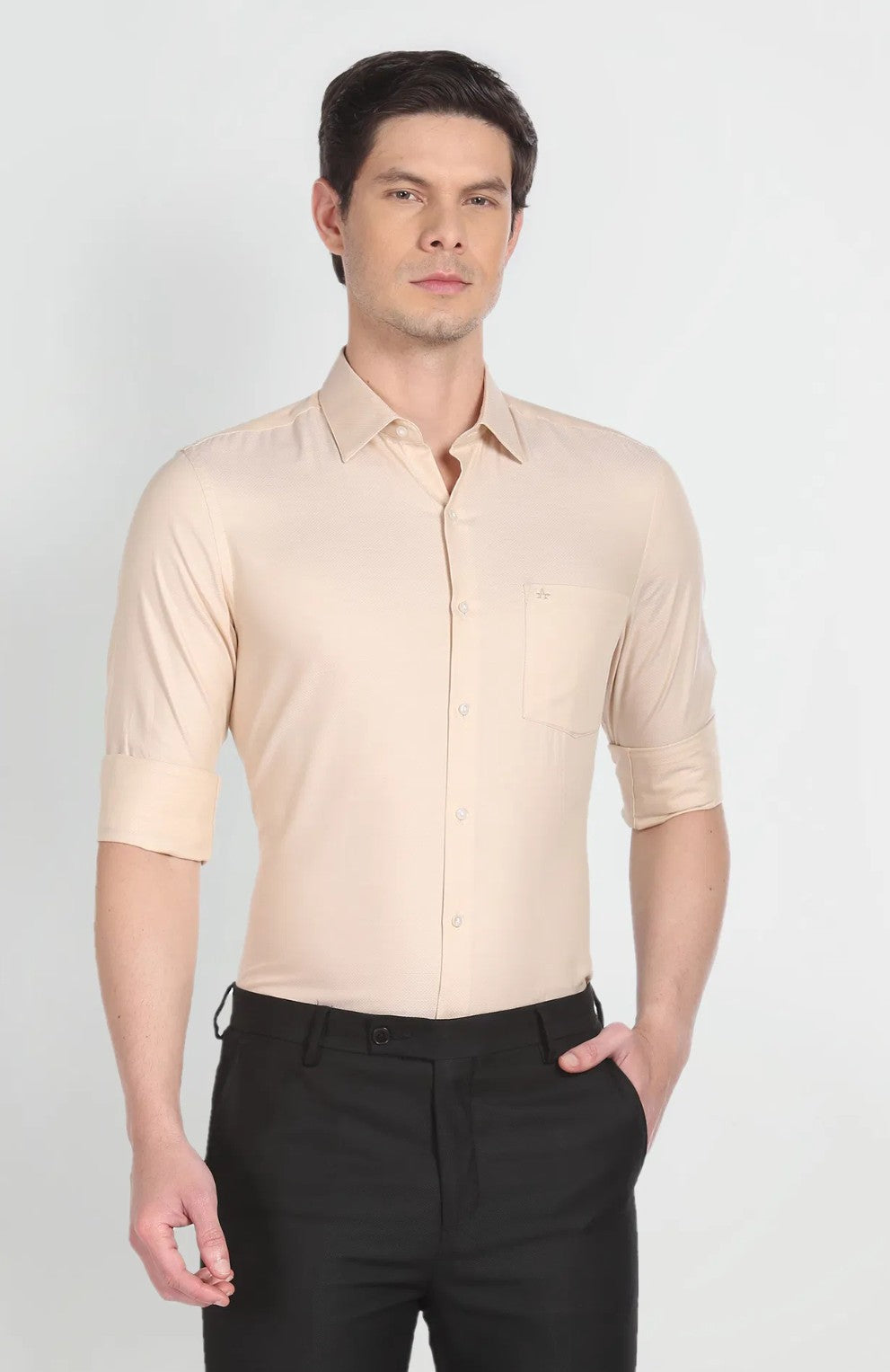 Arrow - Formal Shirts