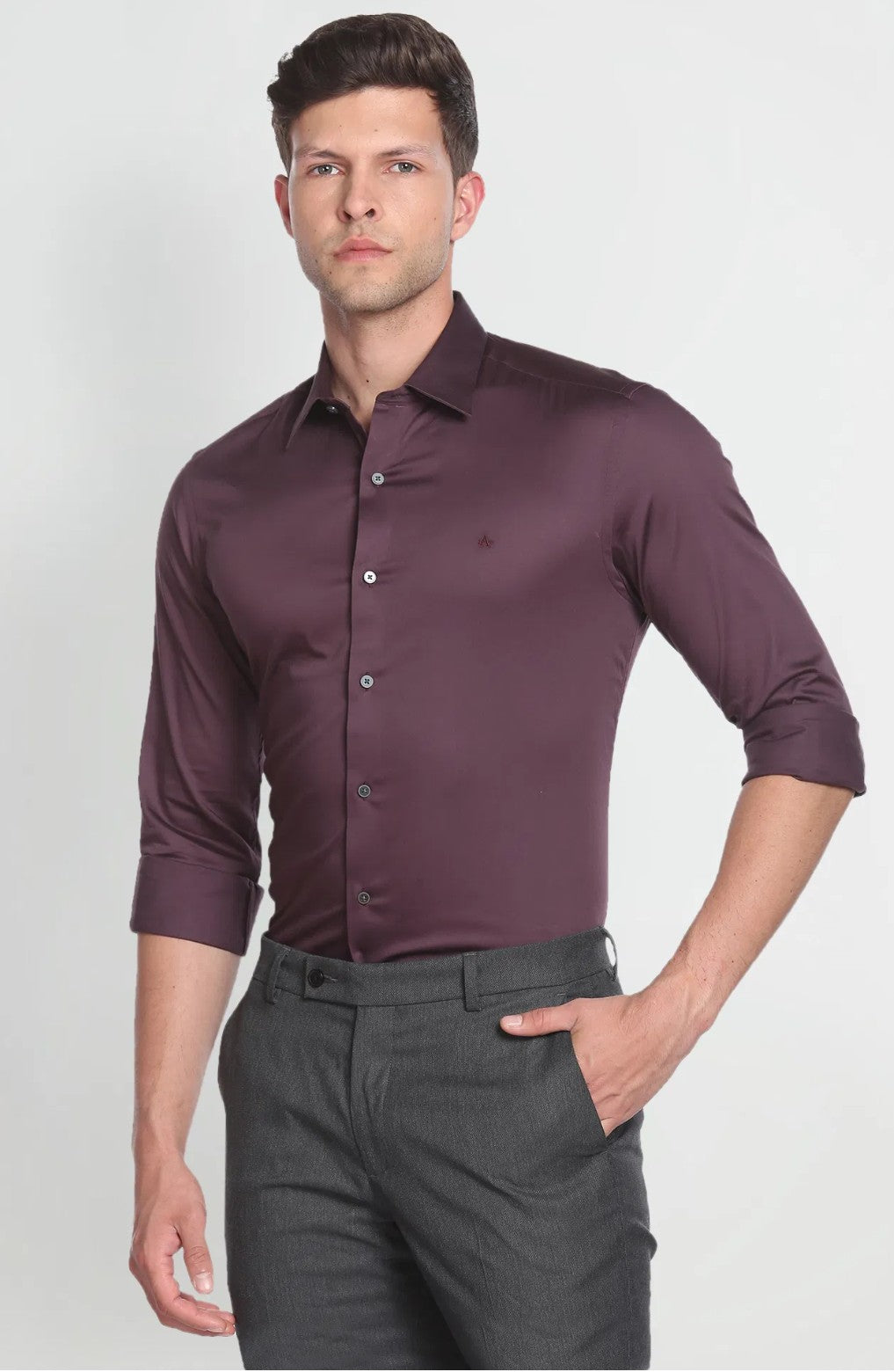 Arrow - Formal Shirts