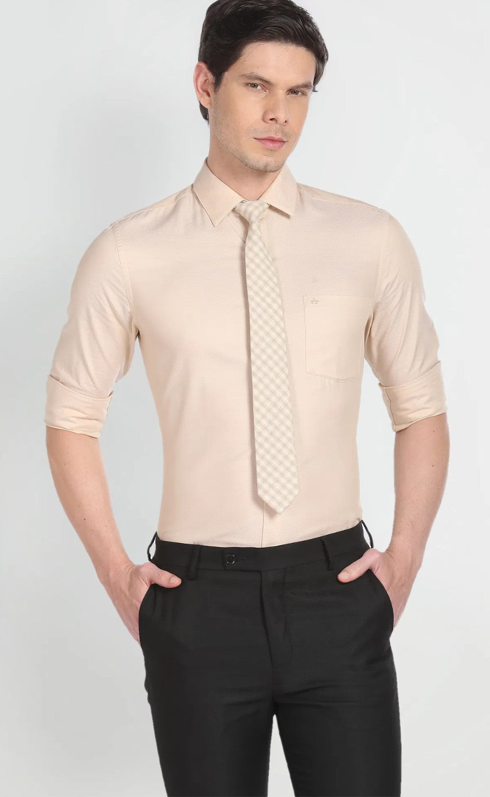 Arrow - Formal Shirts