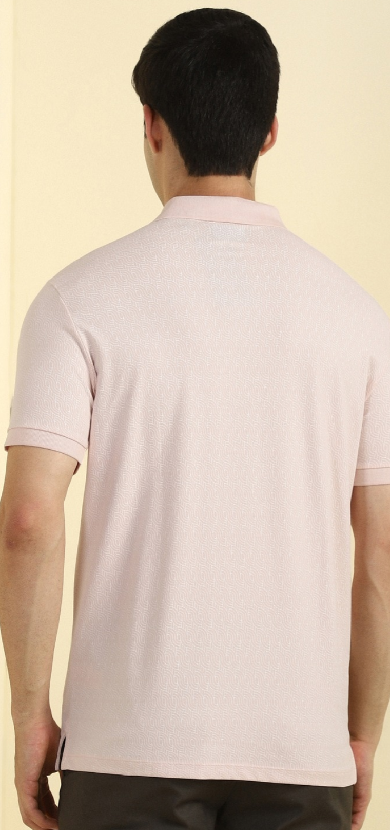 Allen Solly - Polo TShirt