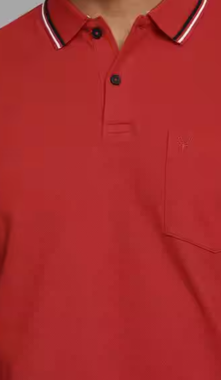 Allen Solly - T Shirt