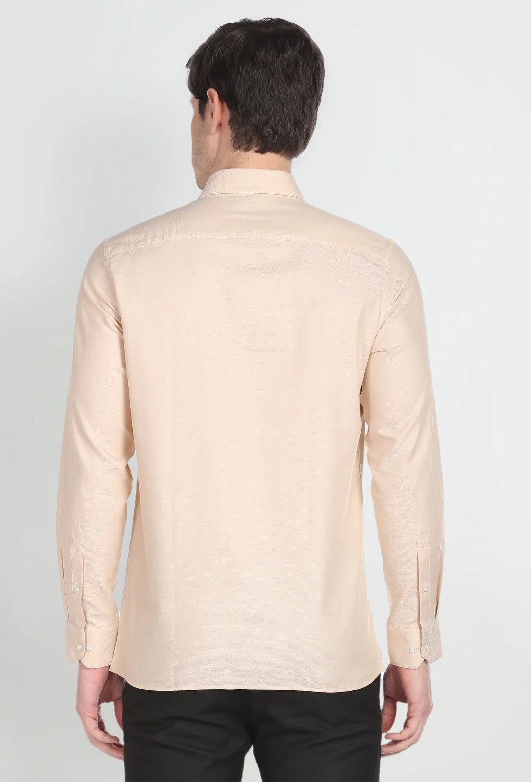 Arrow - Formal Shirts