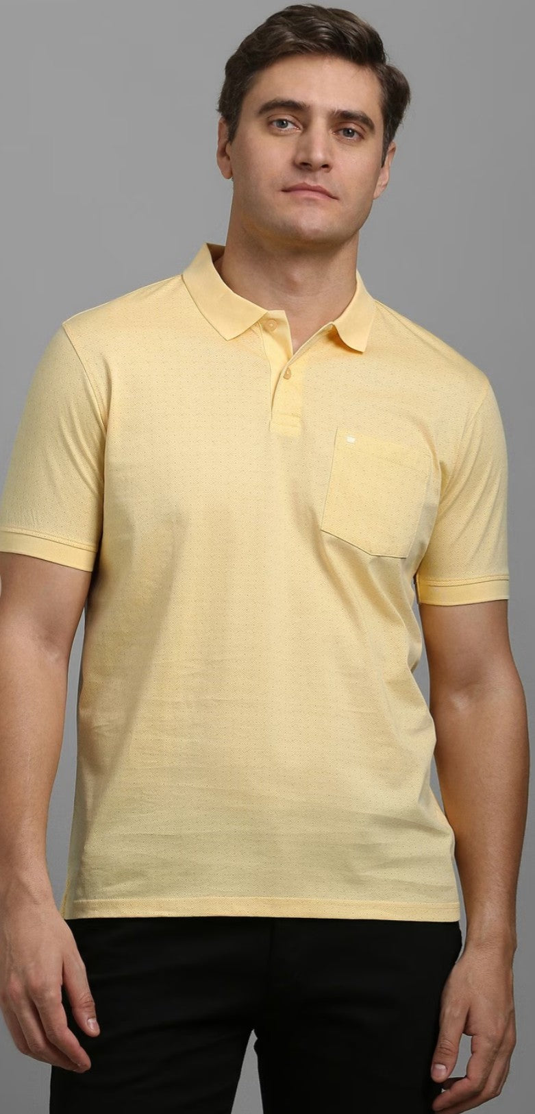 Louis Philippe - Polo T Shirt