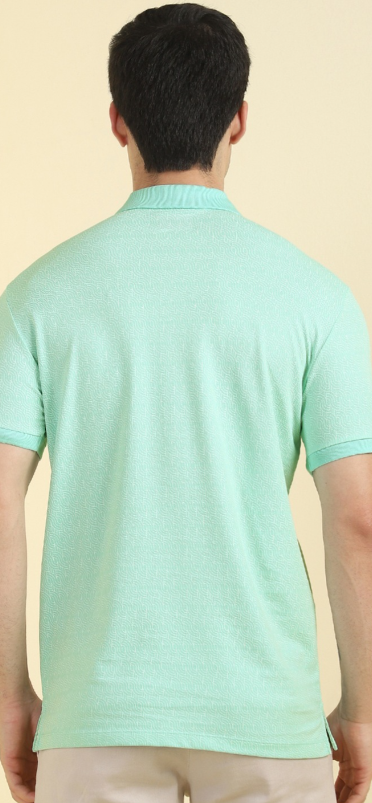 Allen Solly - Polo T Shirt