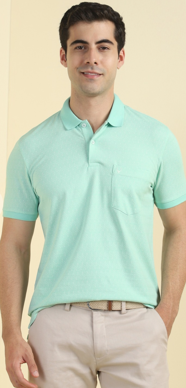 Allen Solly - Polo T Shirt